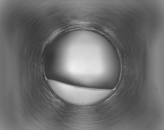X0000056021354200508190909