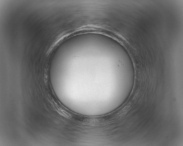 X0000056021355200508190909