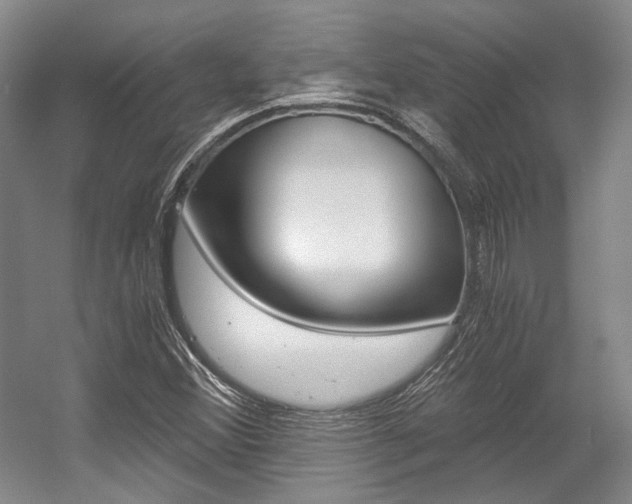 X0000056021356200508190909