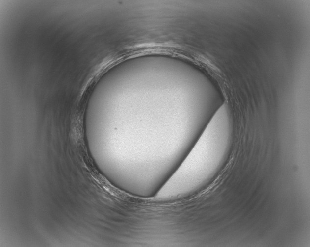 X0000056021357200508190909