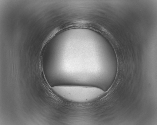 X0000056021362200508190909