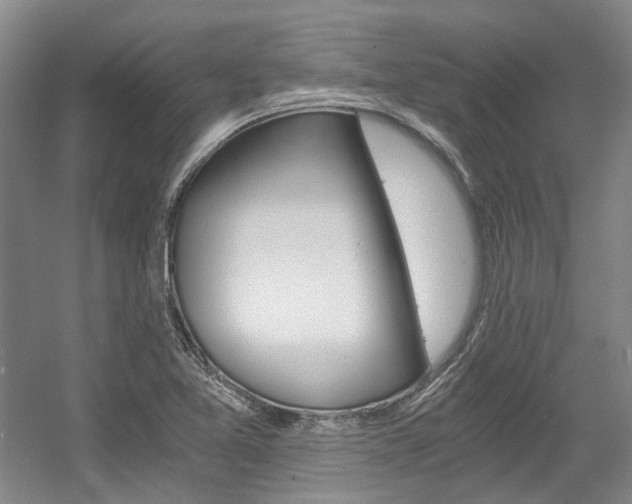 X0000056021365200508190909
