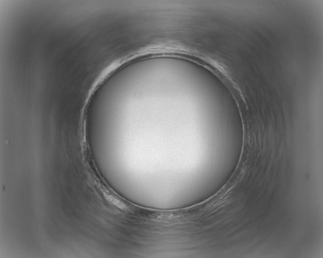 X0000056021366200508190909