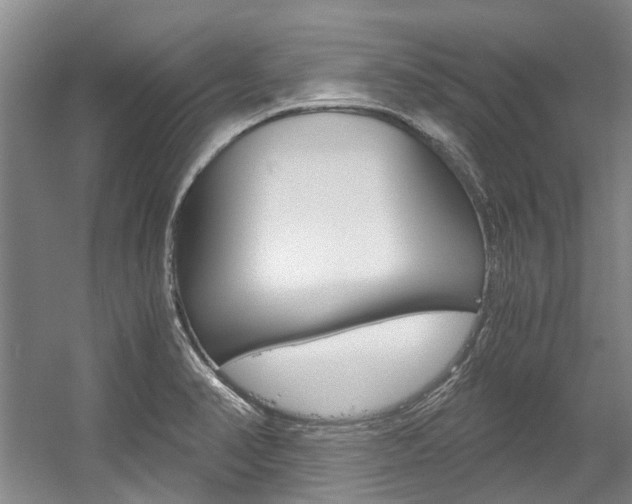 X0000056021374200508190909