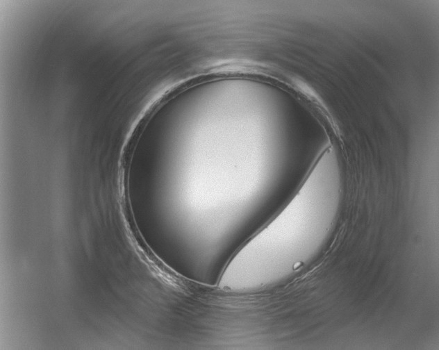 X0000056021376200508190909