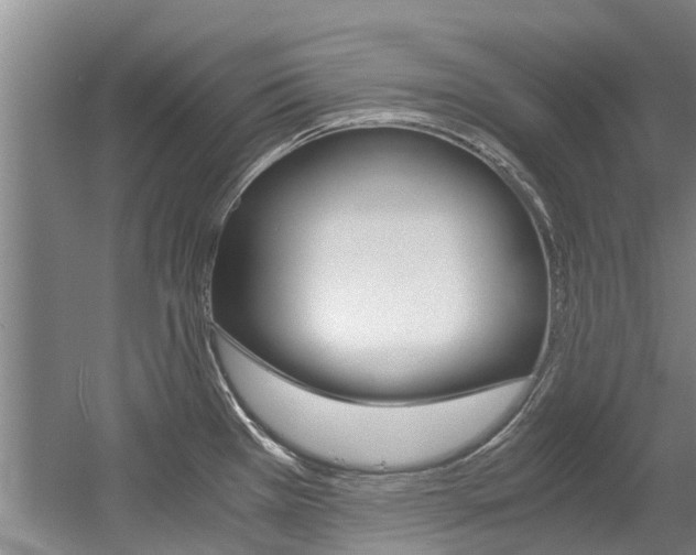X0000056021385200508190909