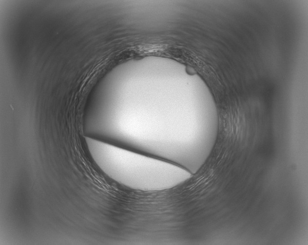 X0000056021393200508190908