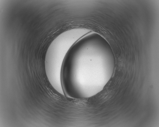 X0000056021394200508190908