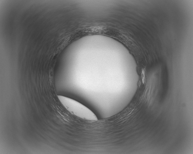 X0000056021395200508190908
