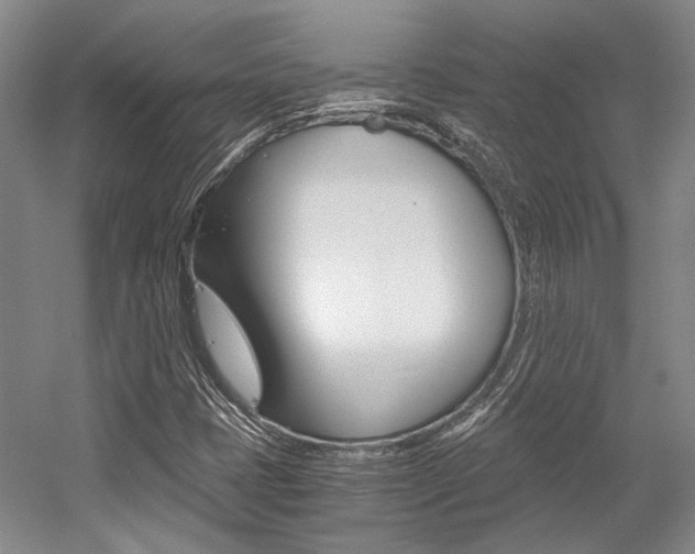 X0000056021401200508190908