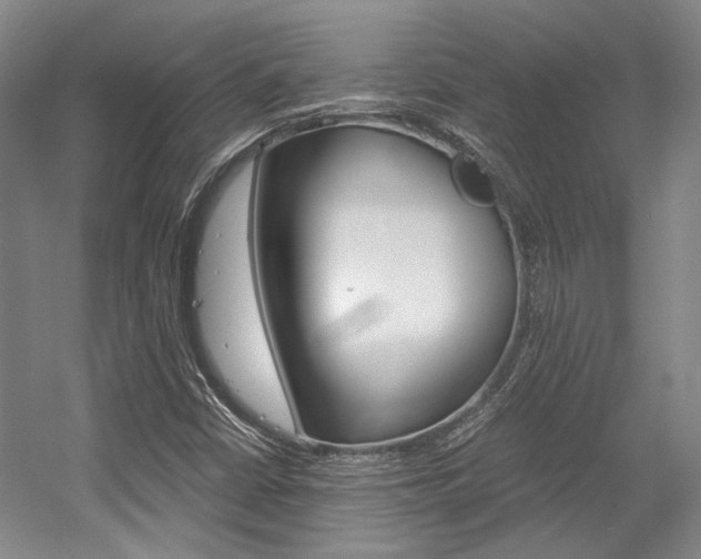 X0000056021402200508190908