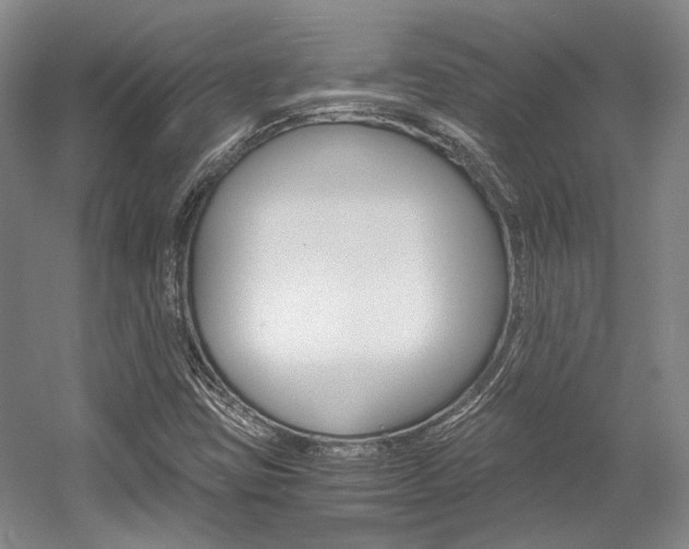 X0000056021403200508190908