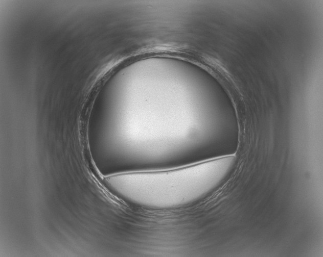 X0000056021404200508190908