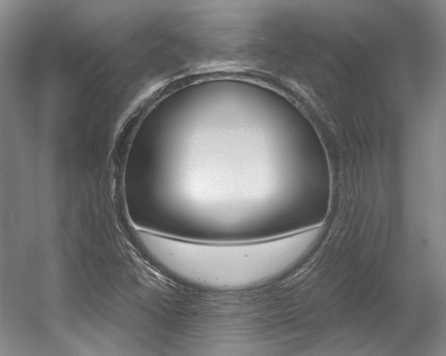 X0000056021406200508190908