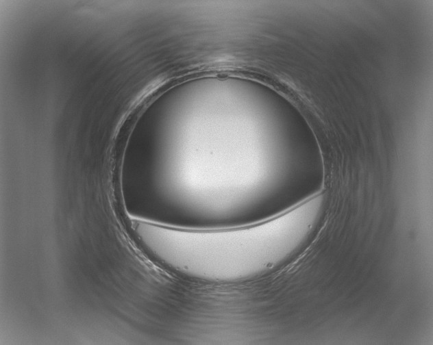X0000056021410200508190908