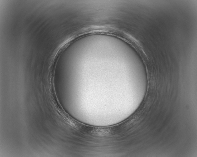 X0000056021411200508190908