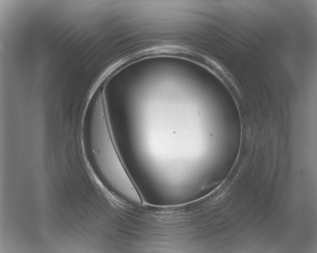 X0000056021418200508190908