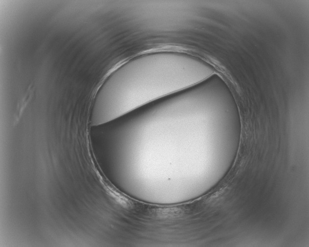 X0000056021425200508190908