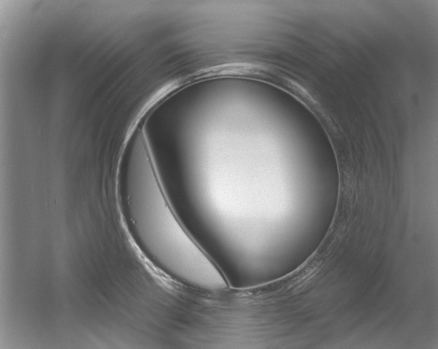 X0000056021426200508190908