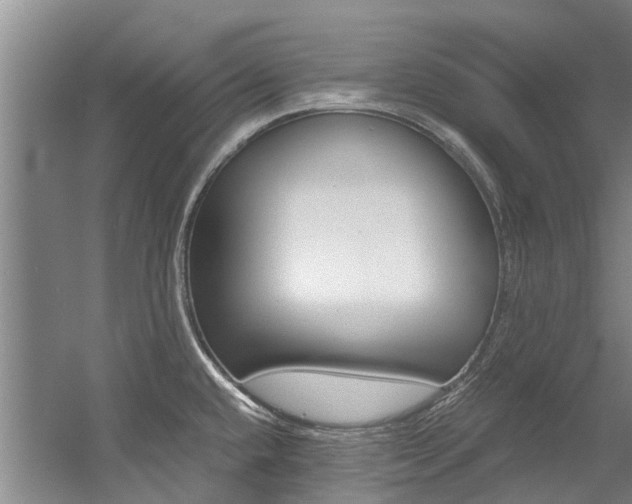 X0000056021432200508190908