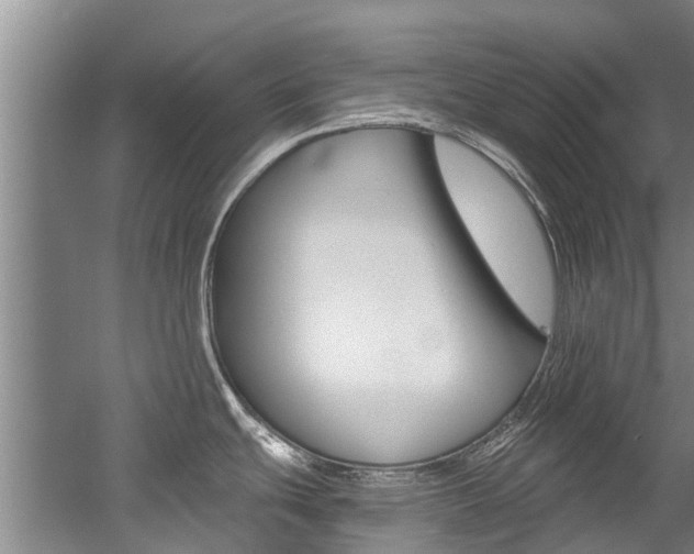 X0000056021439200508190909