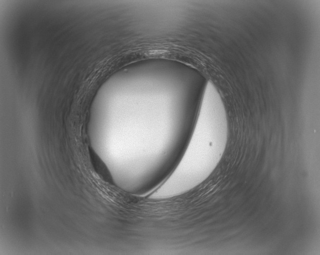 X0000056021441200508190908