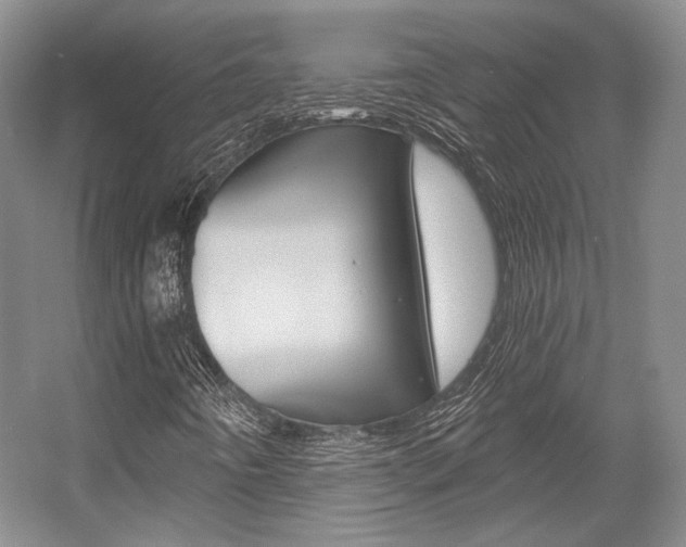 X0000056021442200508190908