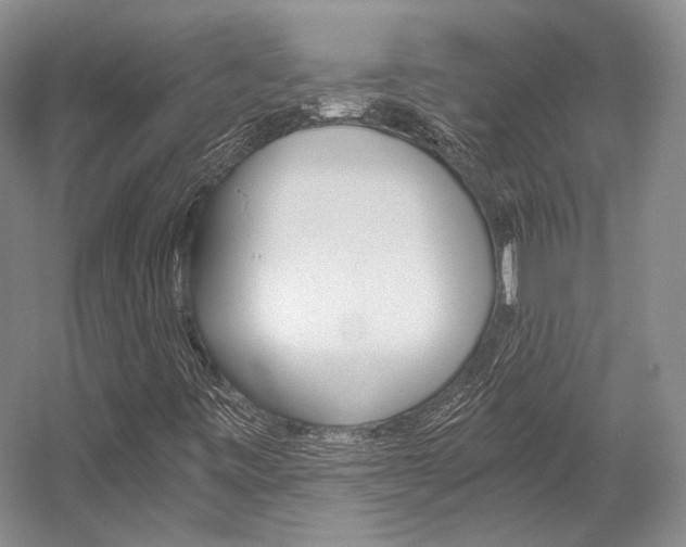X0000056021443200508190908