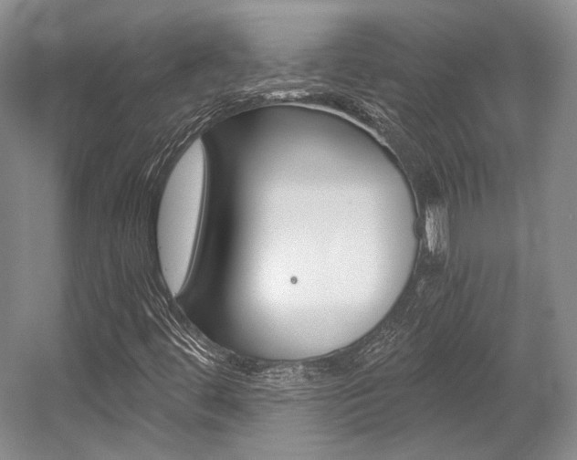 X0000056021444200508190908