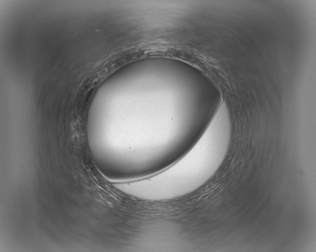 X0000056021445200508190908