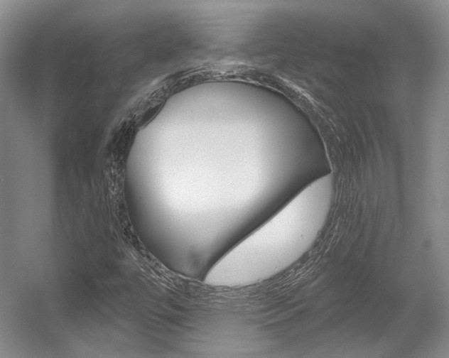X0000056021447200508190908
