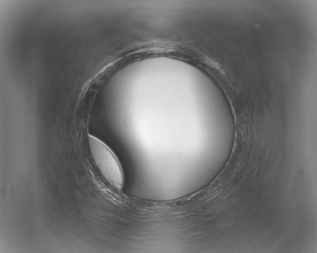 X0000056021448200508190908