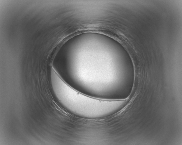 X0000056021449200508190908
