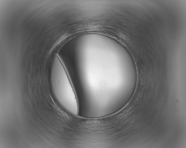 X0000056021450200508190908