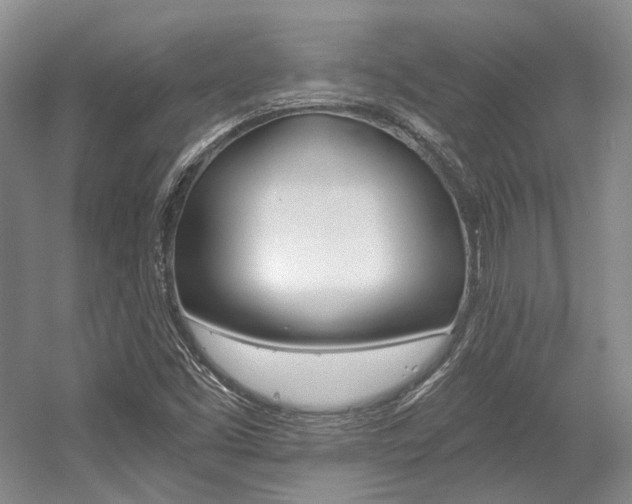 X0000056021453200508190908