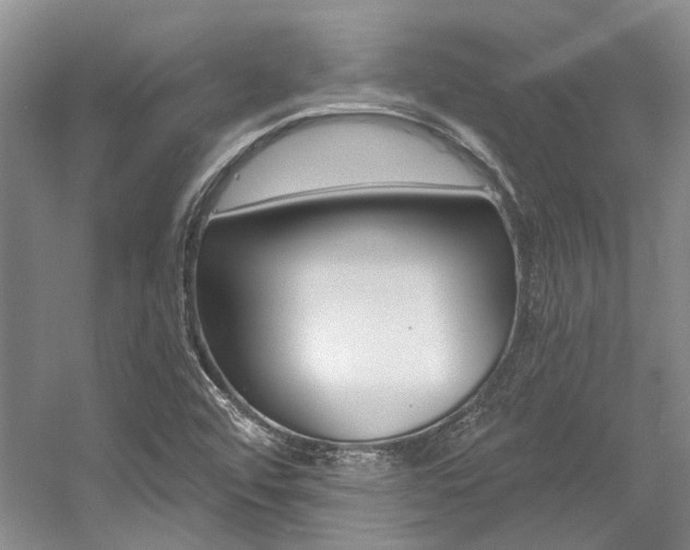 X0000056021456200508190907