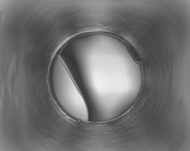 X0000056021460200508190907