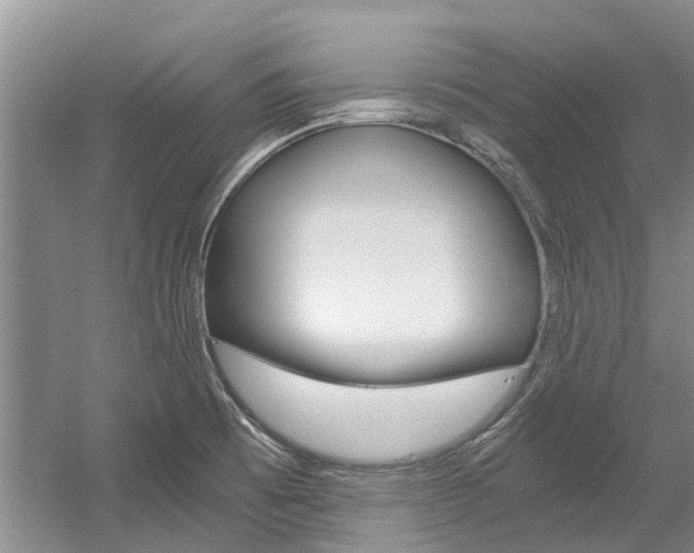 X0000056021473200508190907