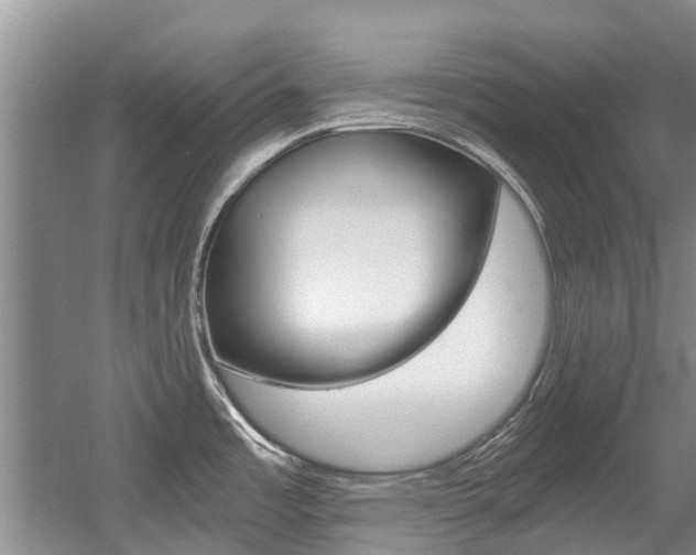 X0000056021485200508190907