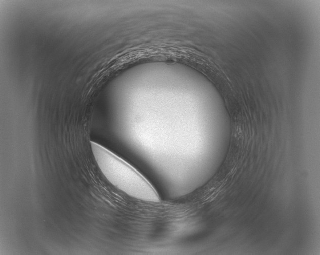 X0000056021490200508190906