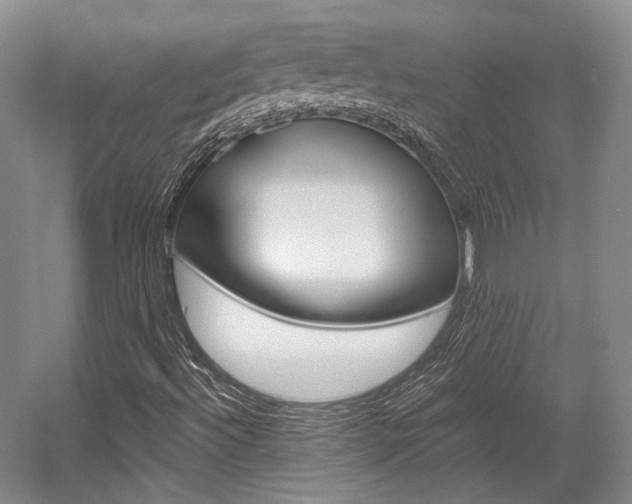 X0000056021492200508190906
