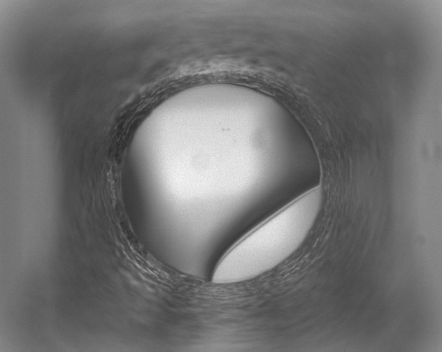 X0000056021493200508190906