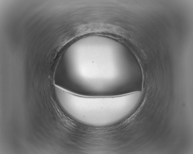 X0000056021497200508190906