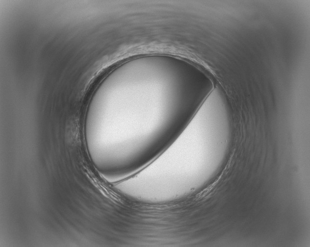 X0000056021499200508190906