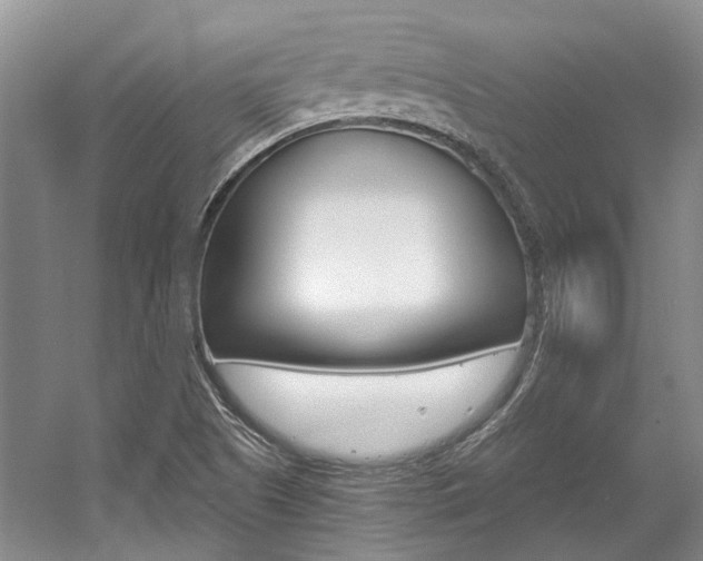 X0000056021505200508190906