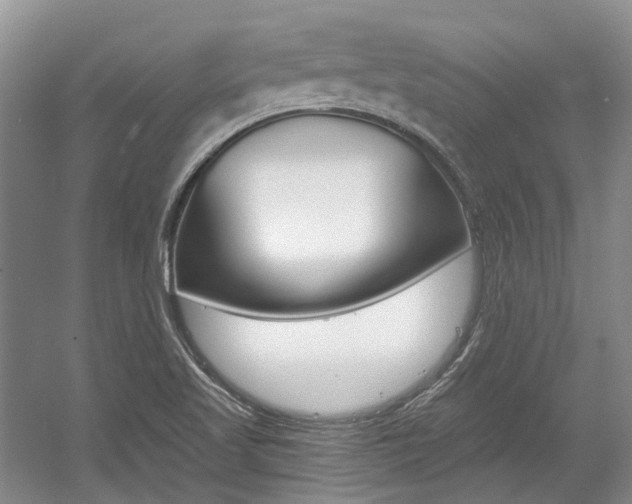 X0000056021509200508190906