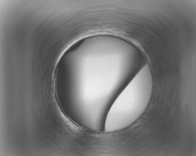 X0000056021524200508190907