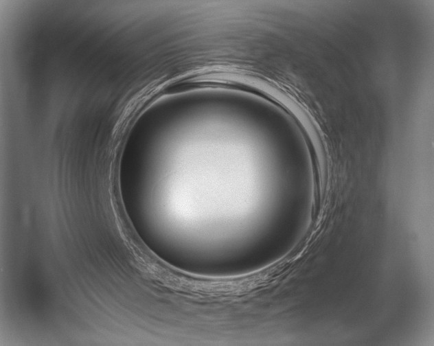X0000056020001200508191340