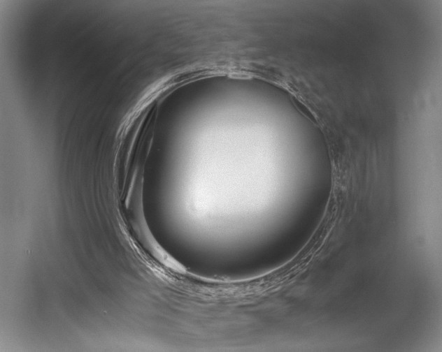 X0000056020005200508191340