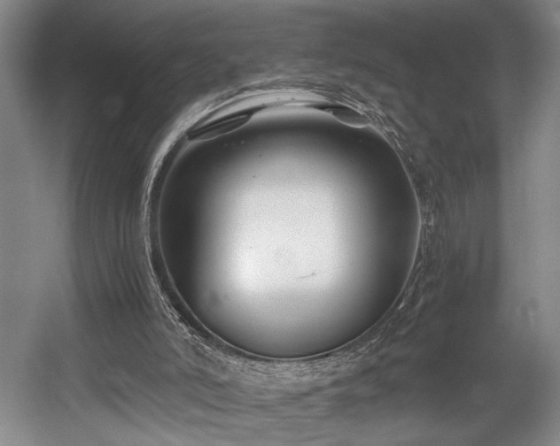 X0000056020006200508191340